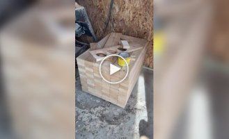 Very Strange accident in China