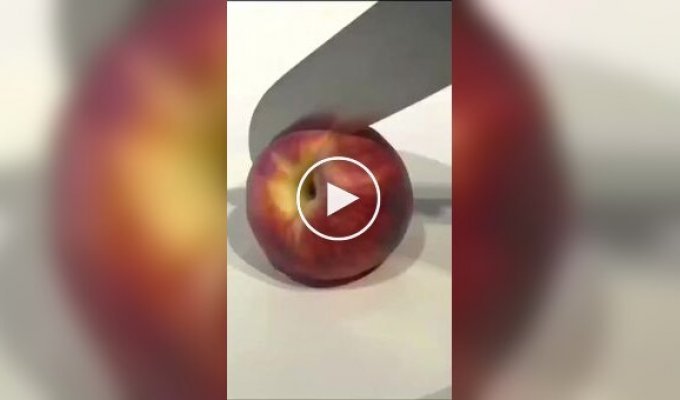 Well-disguised cakes