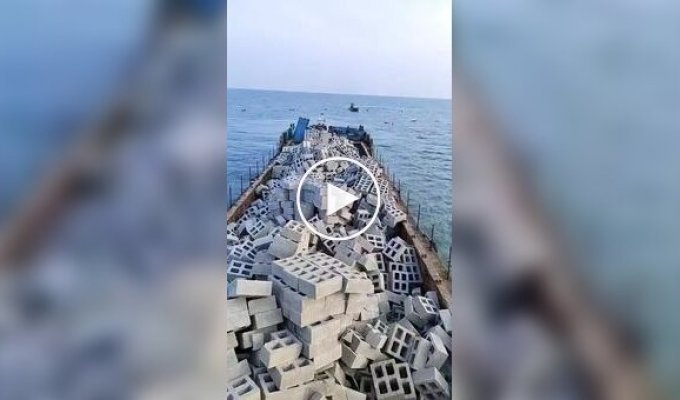 An underwater oasis: how the creation of artificial reefs saves the ocean