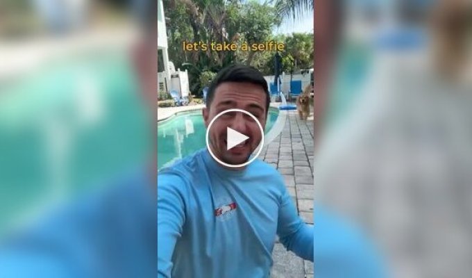 A four-legged selfie lover