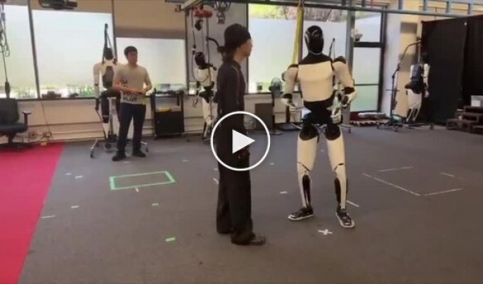 In the US, Tesla robots are already mastering kung fu