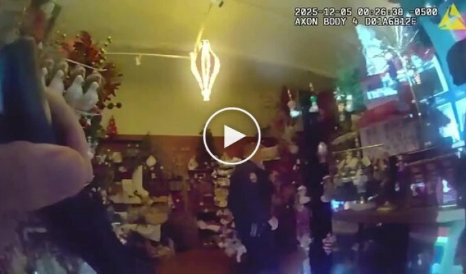 Олениха застряла в стуле в магазине подарков