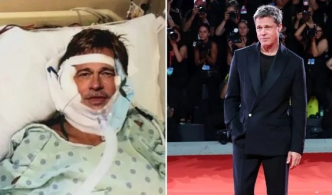 A pensioner paid a fortune for a fake affair with Brad Pitt (6 photos)