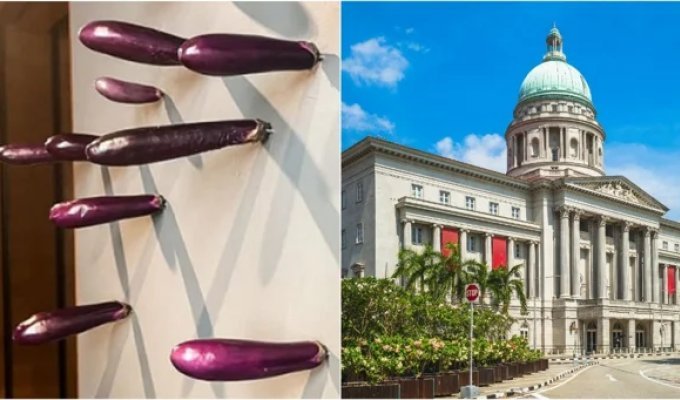 200 eggplants, 1 installation and 0 conscience (4 photos)
