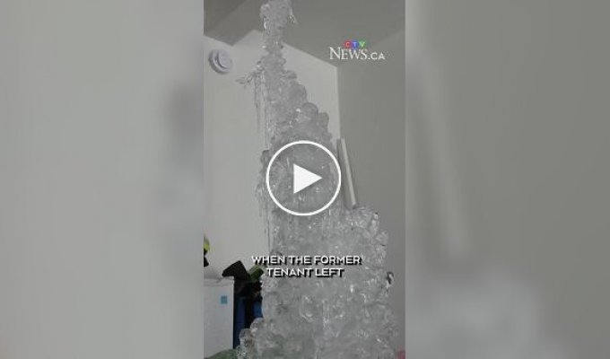 Все покрито льодом: економія на опаленні обернулася катастрофою для власника квартири