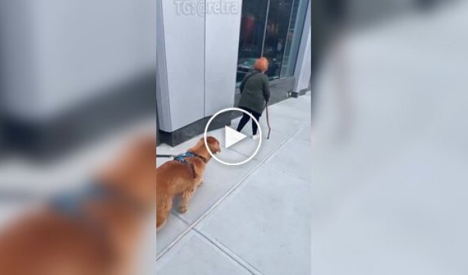 A good boy barely didn't go over to the dark side