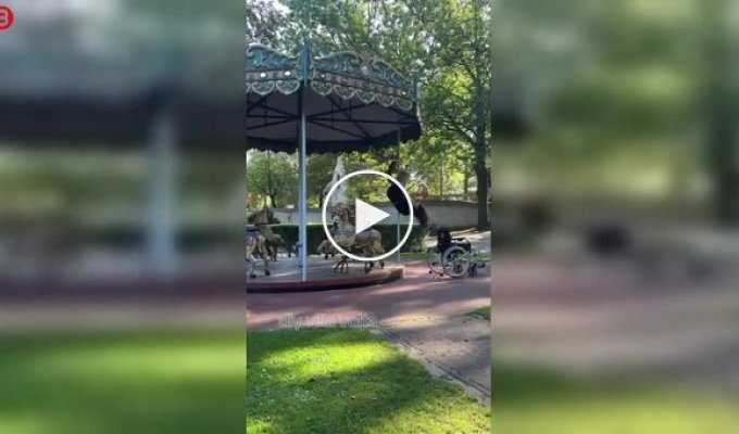 Девушка использовала карусель не по назначению