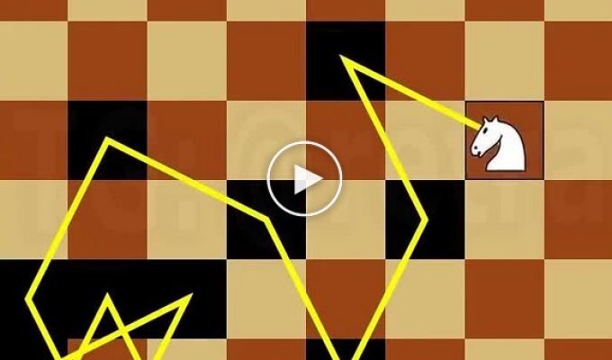 “Knight’s Journey” - a bit of chess beauty