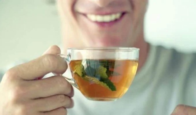 Why mint is called a woman's plant and why it's dangerous for men (5 photos)