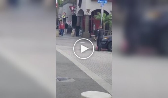 Четкая работа американского полицейского попала на видео