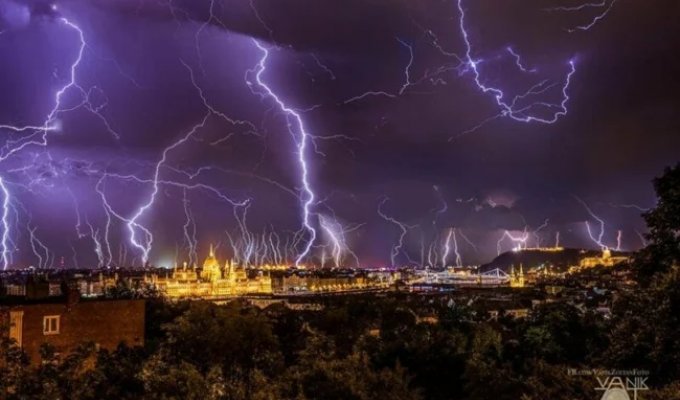 20 Incredible Things You Wouldn't Believe Exist If They Weren't Caught on Camera (20 Photos)