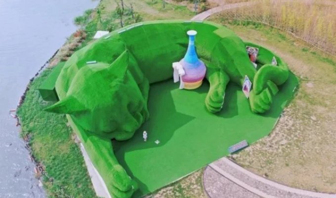 В Китае открыли настоящий «остров толстых котов» (4 фото + видео)