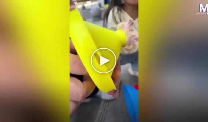 Хомяк застрял в игрушке