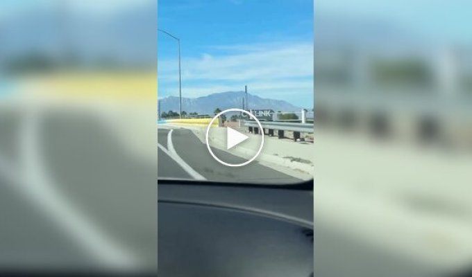 Unusual drawing in Palm Desert