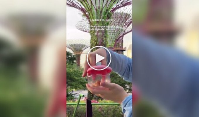 A funny container lid