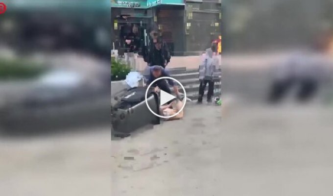 Unusual morning surprise for Japanese cleaners