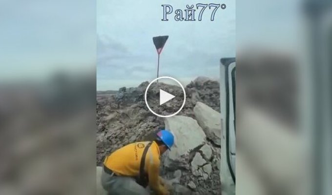 Хлопець кинув камінь у дорожній знак, обліплений бджолами