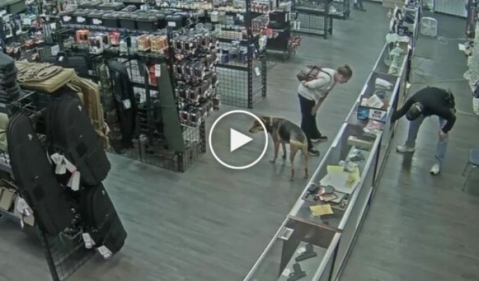 A homeless woman attempted to steal a pistol from a gun store.