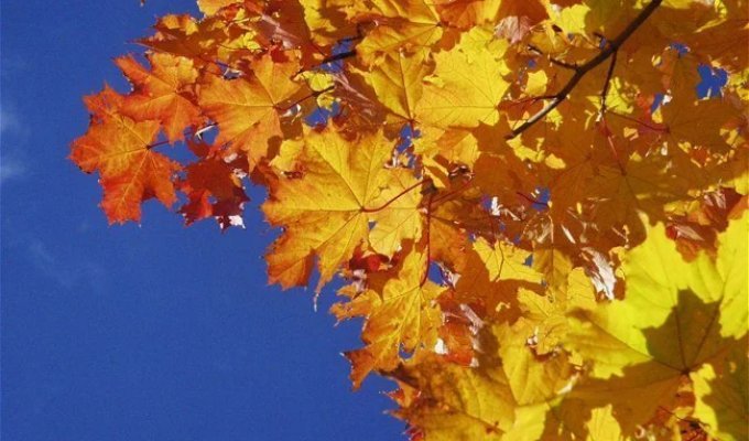 17 Reasons to Welcome the Arrival of Fall (18 GIFs)