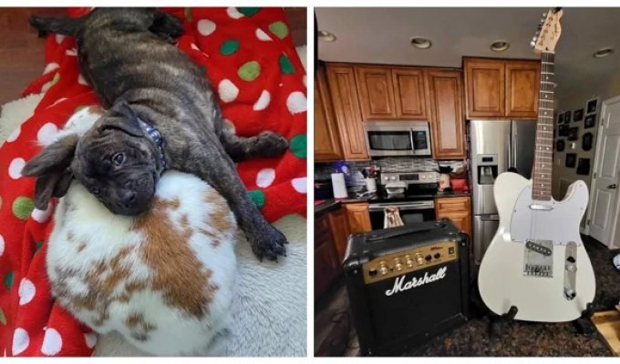 17 ілюзій у кадрі, які змусять засумніватися у існуючій реальності (19 фото)