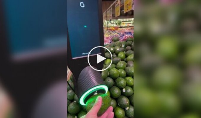 Avocado ripeness scanner