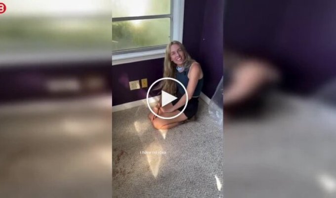 A sweet find: a bee kingdom was discovered under the floor of a house