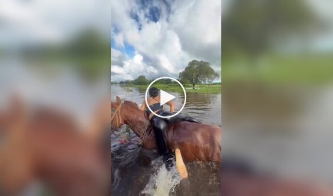 A girl is friends with animals - and will be friends with you too