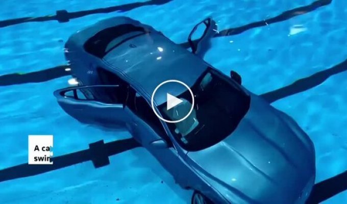 Во Франции машина протаранила стеклянную стену и упала в бассейн