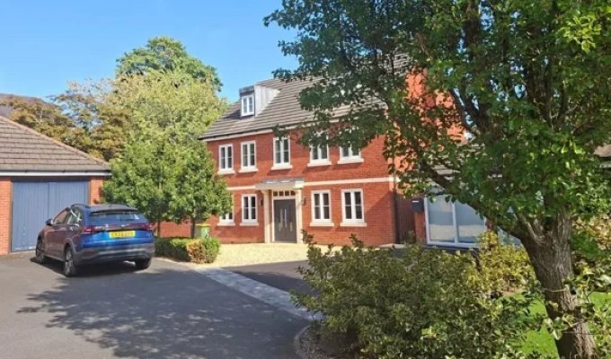 A British Woman Was Fined for Cutting Down a Tree More Than Ten Years Ago (3 photos)