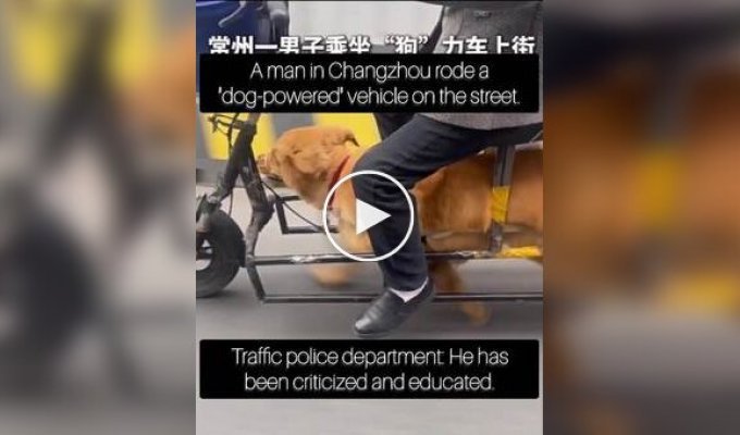 Літній чоловік використовував вихованця для їзди на електровелосипеді