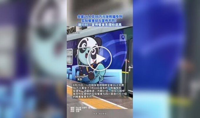 A Chinese family spent a lot of money on a luxury panda-themed train and was left disappointed