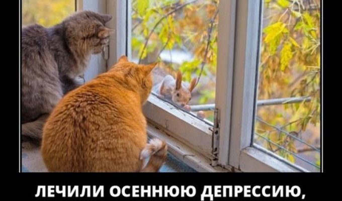 Демотиватори 2849