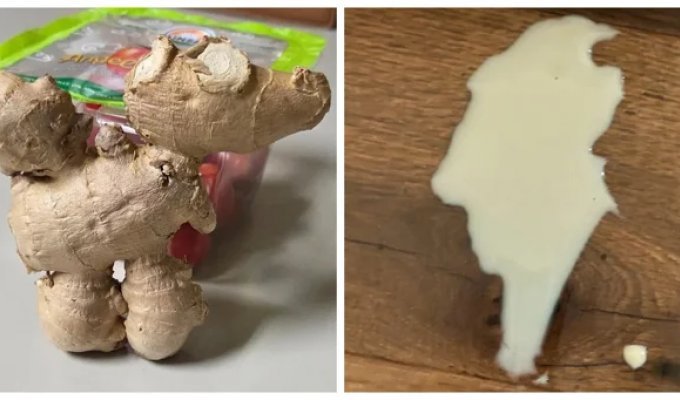 30 Visual Proofs That Reality Laughs at Our Rules (31 photos)
