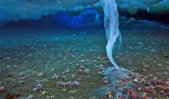 5 разючих феноменів океану (8 фото)