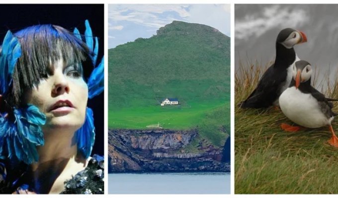 Дом,  который построил интернет: где находится самый одинокий  дом в мире, и кто в нём живёт  на самом деле (15 фото + 1 видео)