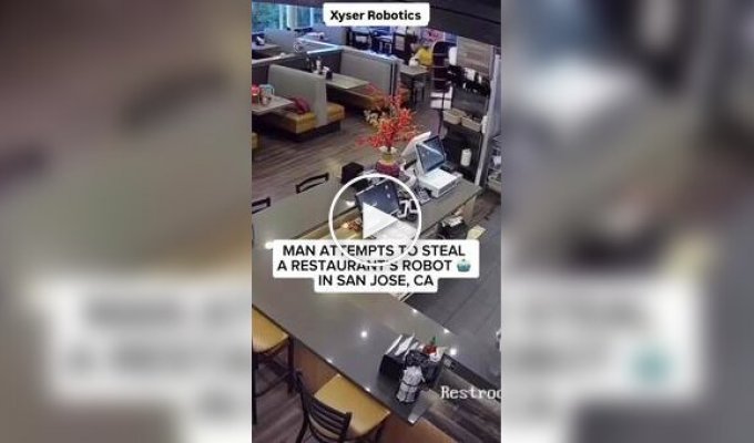 Man tried to steal a robot from a restaurant