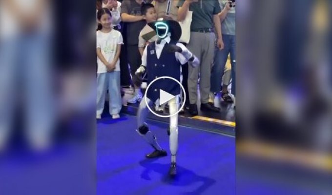 Robot fell during a dance and amused the audience