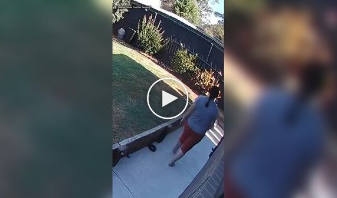 A venomous snake wrapped itself around a woman's leg in the yard of a house