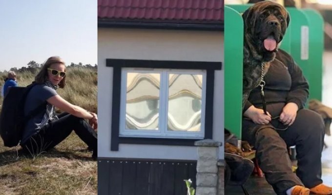 22 фотографії, які стануть справжньою головоломкою для очей (23 фото)