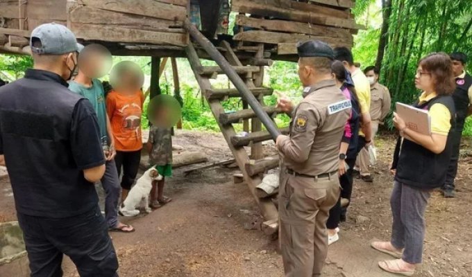 A Boy Who Raised in a Pack of Dogs Was Found in Thailand (4 photos)