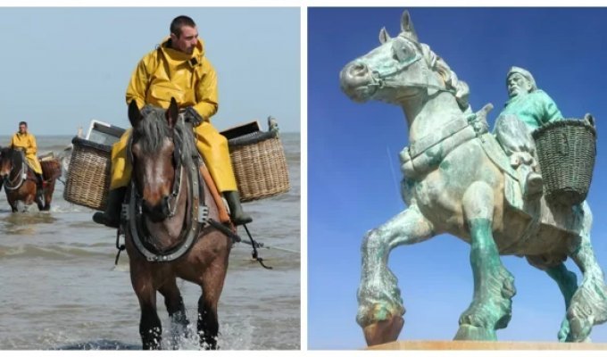 Всадники-креветочники Остдейнкерке (10 фото + 1 видео)