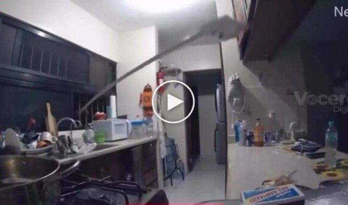 A thief decided to fish from someone's window and "fished out" a smartphone