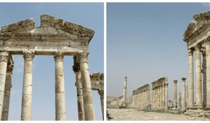 The Great Colonnade of Apamea (8 photos)