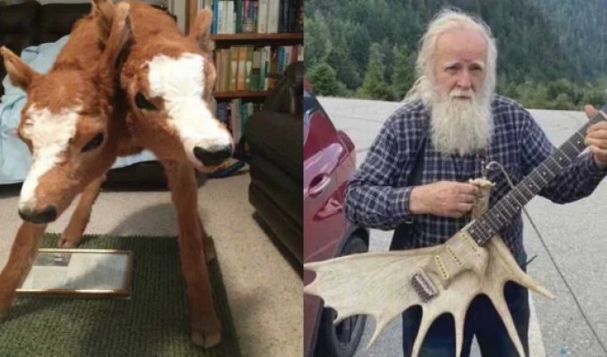 22 странные фотографии из реальной жизни, в которые трудно поверить (23 фото)