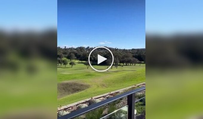 A plane crashed on a golf course in Australia