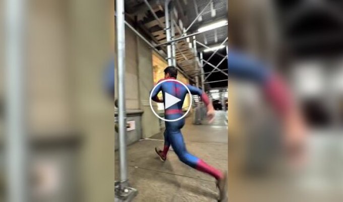 Человек-паук в реальной жизни