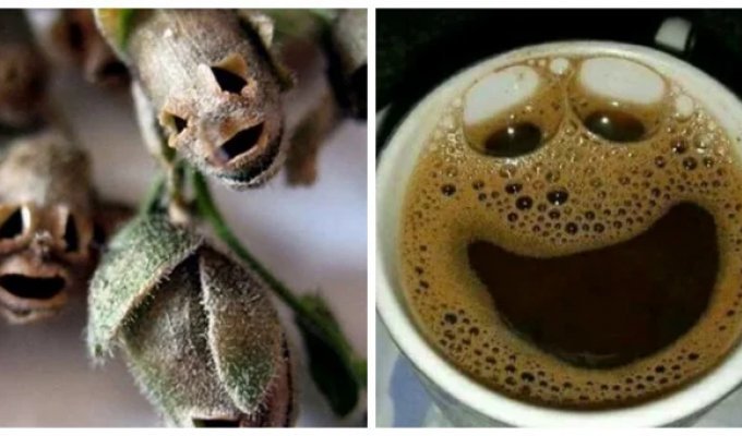 30 прикладів магії парейдолії у звичайних речах (31 фото)