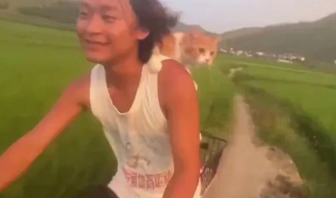 Навстречу приключениям (2 фото + 1 видео)