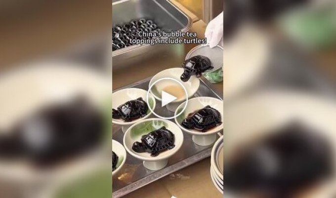 Tea with gummy turtles in China.