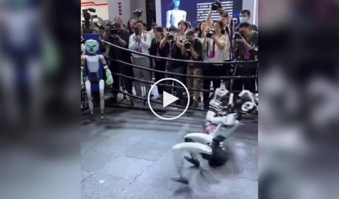The uprising of the machines is postponed